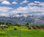 &Sigma;&tau;&epsilon;&nu;ή &Epsilon;&upsilon;&beta;&omicron;ί&alpha;&sigmaf;