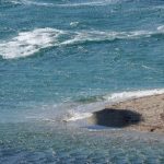 Windsurf στη νότια Εύβοια Windsurf στη νότια Εύβοια