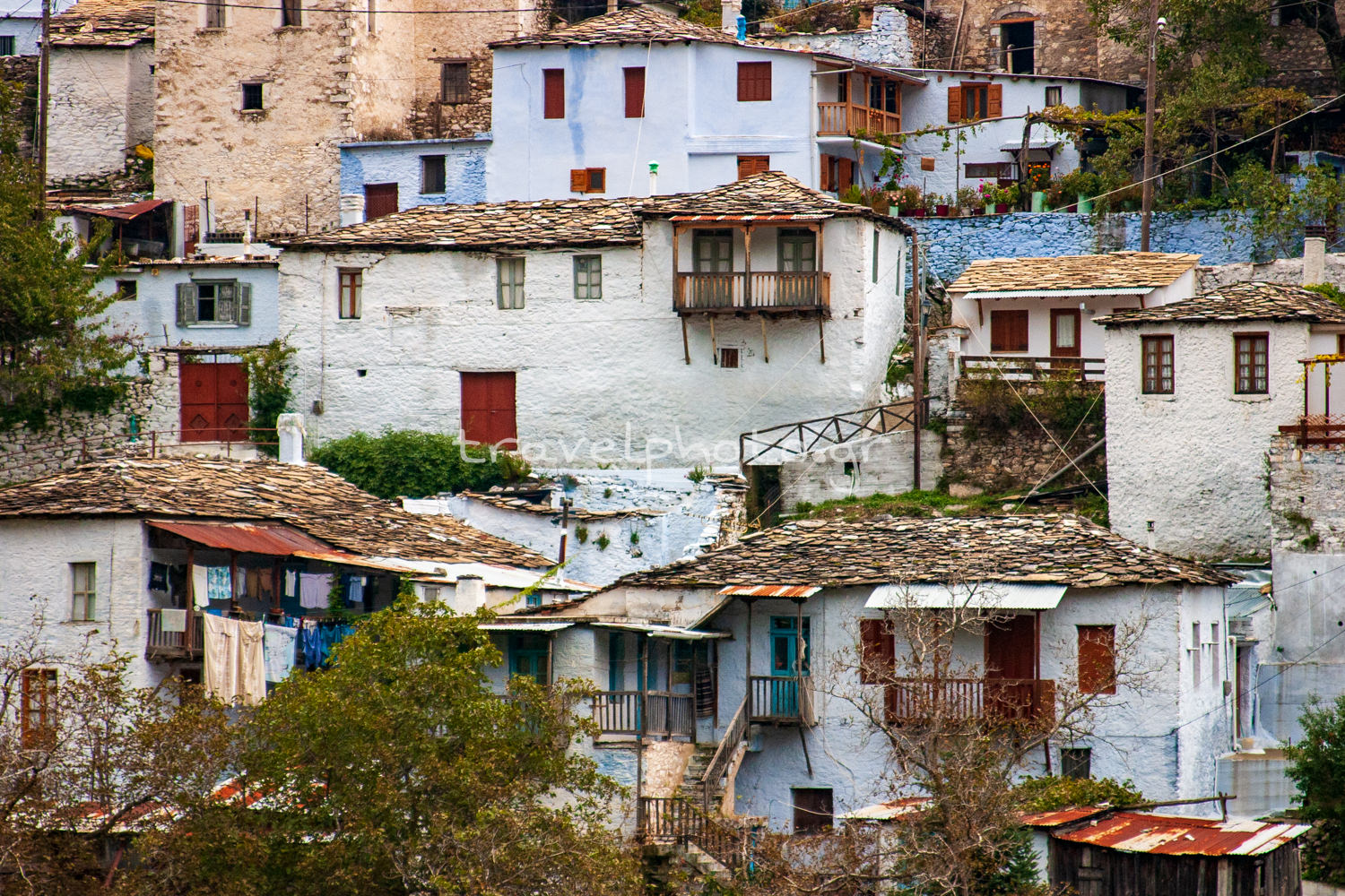 Κάστανα στο δρόμο για την Καστάνιτσα Αρκαδίας