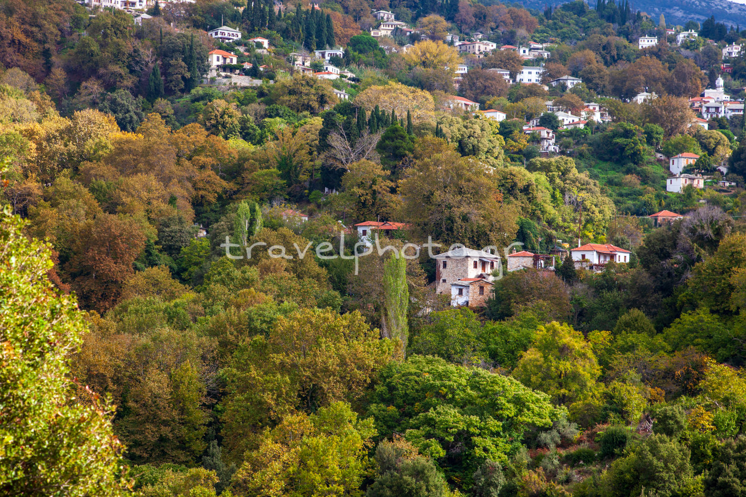 Approaching Milies with the Pelion Train  
