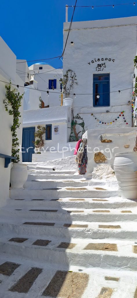 Σεριφος Ανω Χωρα Γαϊδαρος μπαρ στενα