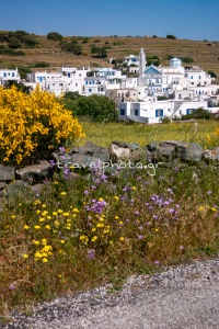 Μυρσίνη Τήνος