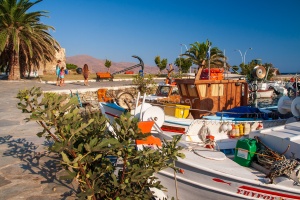 Κάρυστος Νότια Ευβοια, ψαρόβαρκες και συκιά