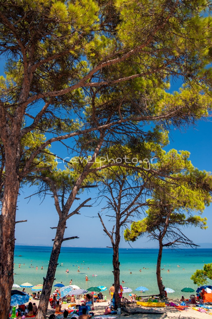 Παραλία Καρύδι, Χαλκιδική Σιθωνία