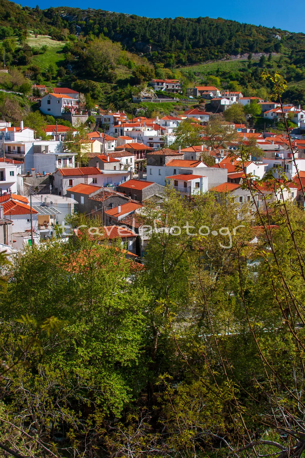 Steni-Evias-kentriki-Evia-dimos-Dirfys-Messapia-03