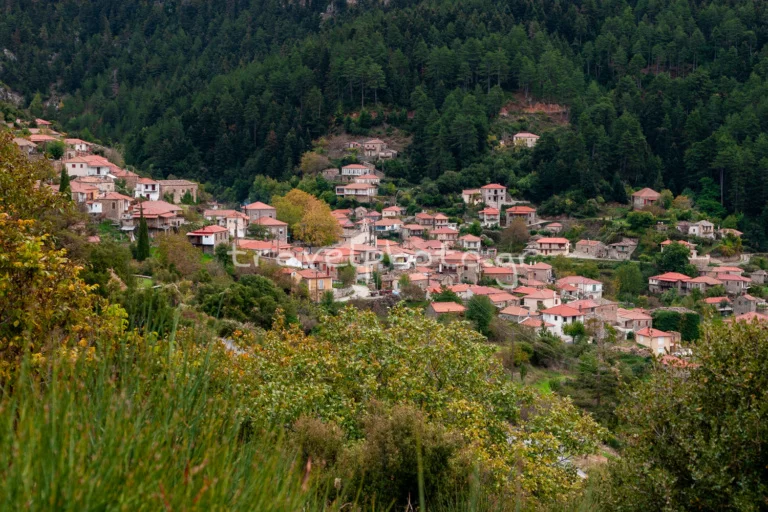 Τζίντζινα Τσίτζινα Πολύδροσο Λακωνία Πάρνωνας
