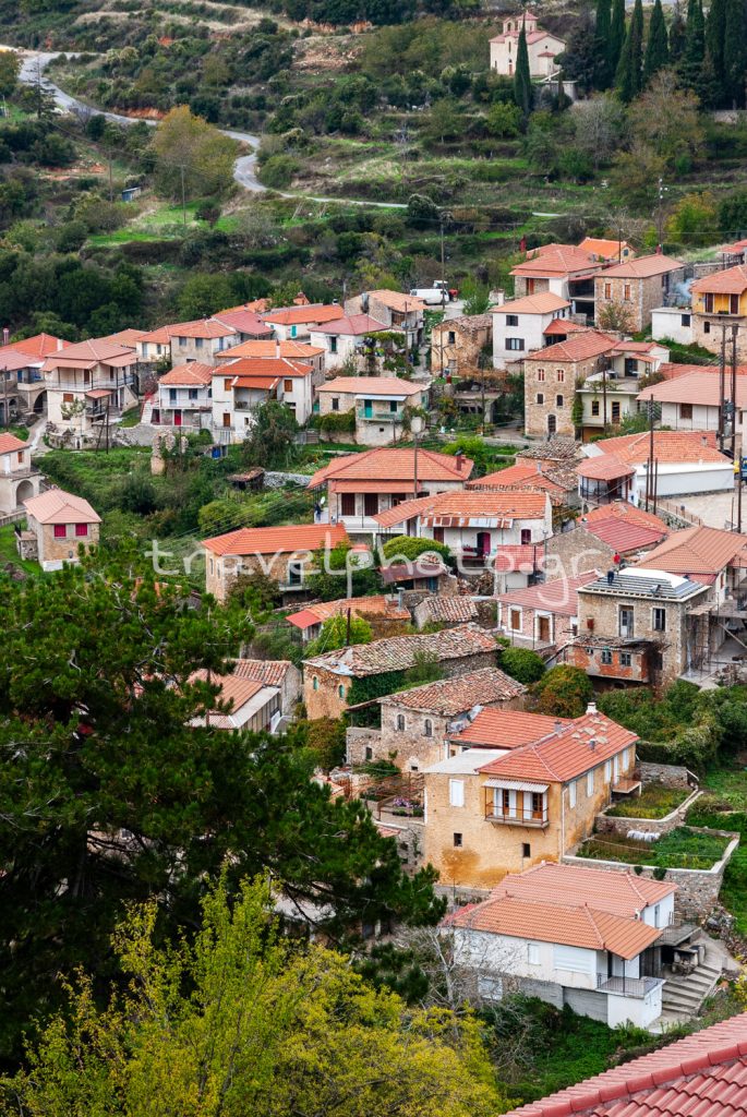 Πολύδροσο Τζιτζινα Πάρνωνας