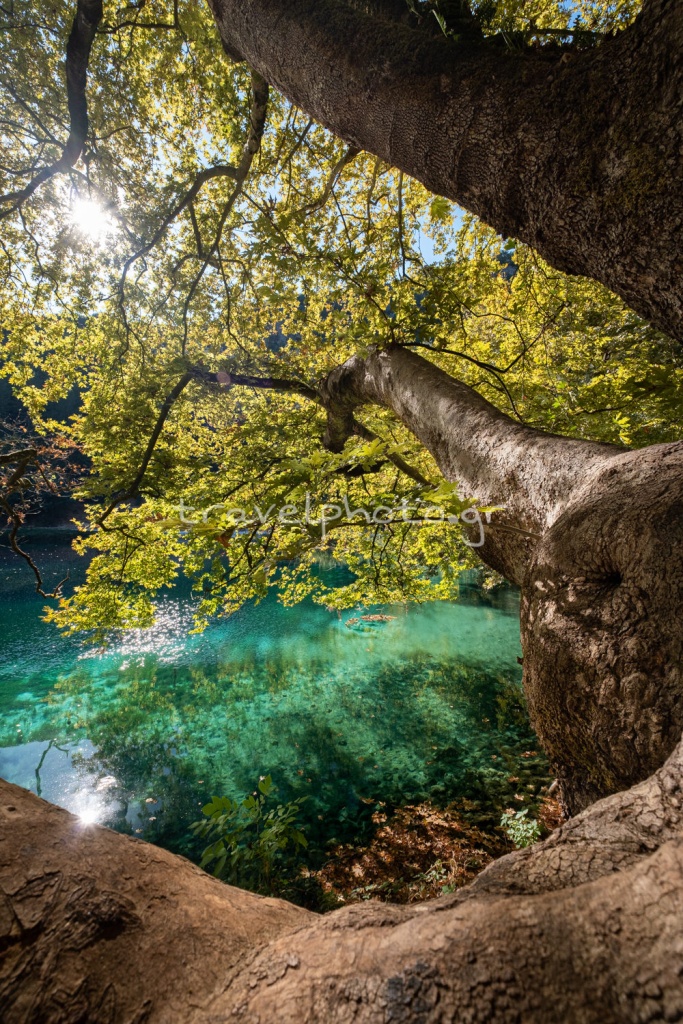 Πηγές ποταμού Λούρου Πρεβεζα (9)