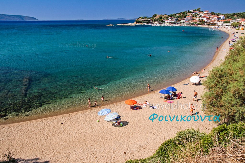 H Φοινικούντα στη Μεσσηνία