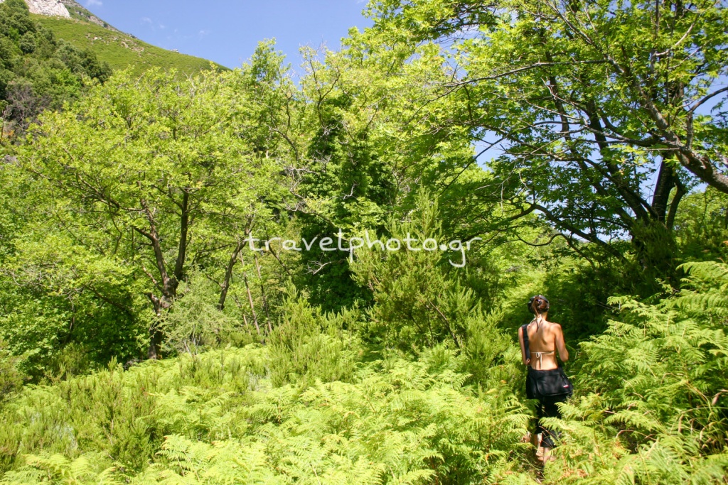 Gorge-Dimosari-Karystos-Karystos-South-Euboea_2