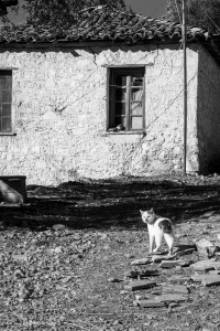 Au monastère de Timios Prodromos dans la gorge de Lucius