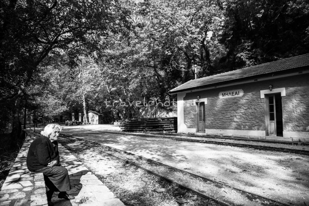 Περιμένοντας τον Μουτζούρη, τρενάκι Πηλίου, Μηλιές