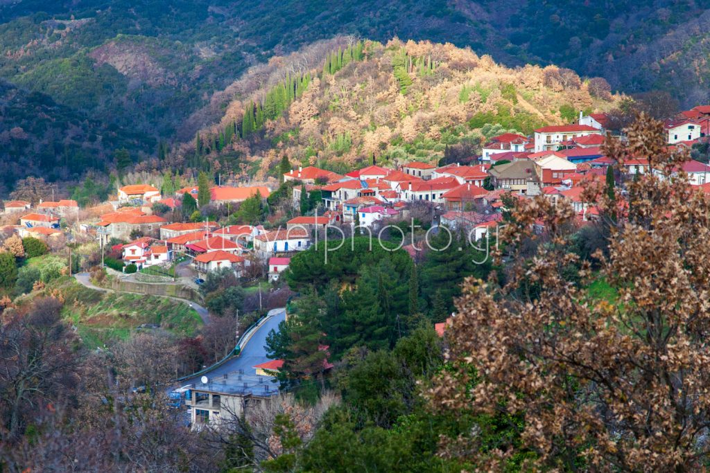 Ανδρίτσαινα