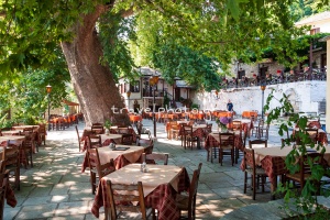 Vyzitsa square plane tree Pelion