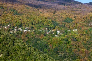 Η Τσαγκαράδα στις δασωμένες πλαγιές του Πηλίου