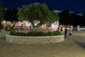 Bears Bears square taverns