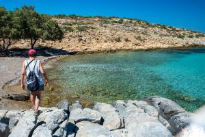 Bears Bears beach Limnari