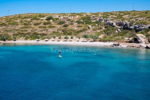 Bears Bears beach at the port near