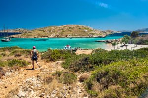 Bears Bears beach frying pans