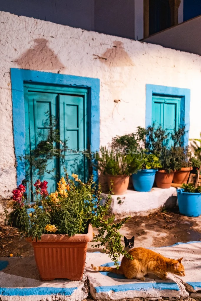 γάτες Λειψούς Λειψοι σοκάκια χωριό