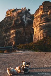 Cats at the Meteora monasteries and impressive rock formations Greece