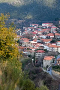 Ανδρίτσαινα