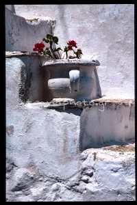 Γλάστρα με γεράνι στη Χώρα Σερίφου