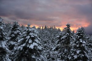 parnassos xionodromiko