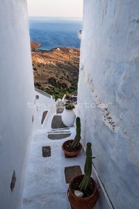 Καρδιανή Τήνου