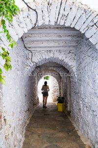 Σμαρδακιτο Τηνος