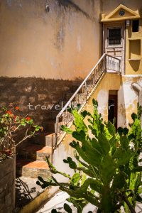 Χωριό Κάμπος Τήνος, Κάκτος