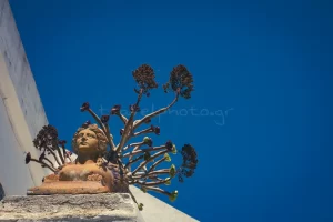 χωριό Τριπόταμος γλάστρα Τήνος