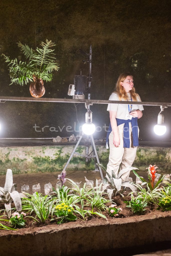 Υπόγεια Νάπολη Napoli Sotterranea