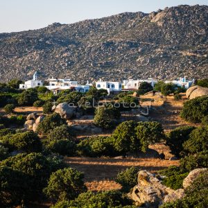 Βώλαξ ή Βώλακας Τήνου