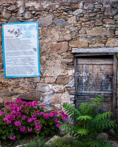 Βώλαξ ή Βώλακας Τήνου