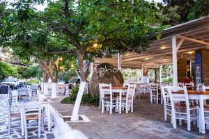 Βώλαξ ή Βώλακας Τήνου